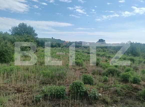 Teren de vânzare Nord-Vest - 195734TV | BLITZ Lugoj | Poza5