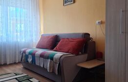 Casa de vanzare, 350 mp, zona Central