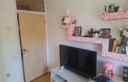 Apartament 2 camere de vanzare, 67 mp, decomandat, etaj 1, Logoj 