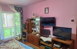 Apartament 2 camere de vanzare, 67 mp, decomandat, etaj 1, Logoj 