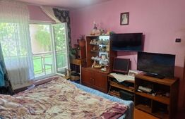 Apartament 2 camere de vanzare, 67 mp, decomandat, etaj 1, Logoj 