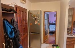 Apartament 2 camere de vanzare, 67 mp, decomandat, etaj 1, Logoj 