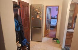 Apartament 2 camere de vanzare, 67 mp, decomandat, etaj 1, Logoj 