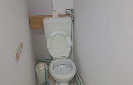 Penthouse, 110 mp, zona Lugoj