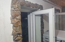 Penthouse, 110 mp, zona Lugoj