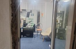 Penthouse, 110 mp, zona Lugoj