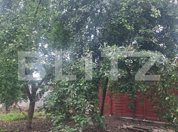 Apartament de vânzare 3 camere Nord - 199734AV | BLITZ Lugoj | Poza4