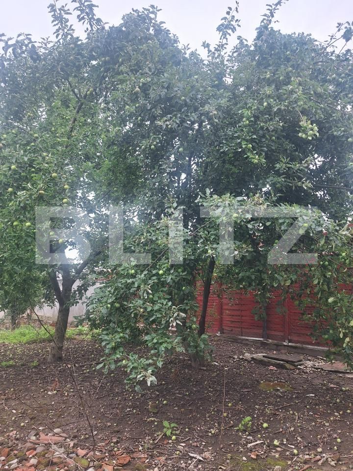 Apartament de vânzare 3 camere Nord - 199734AV | BLITZ Lugoj | Poza4
