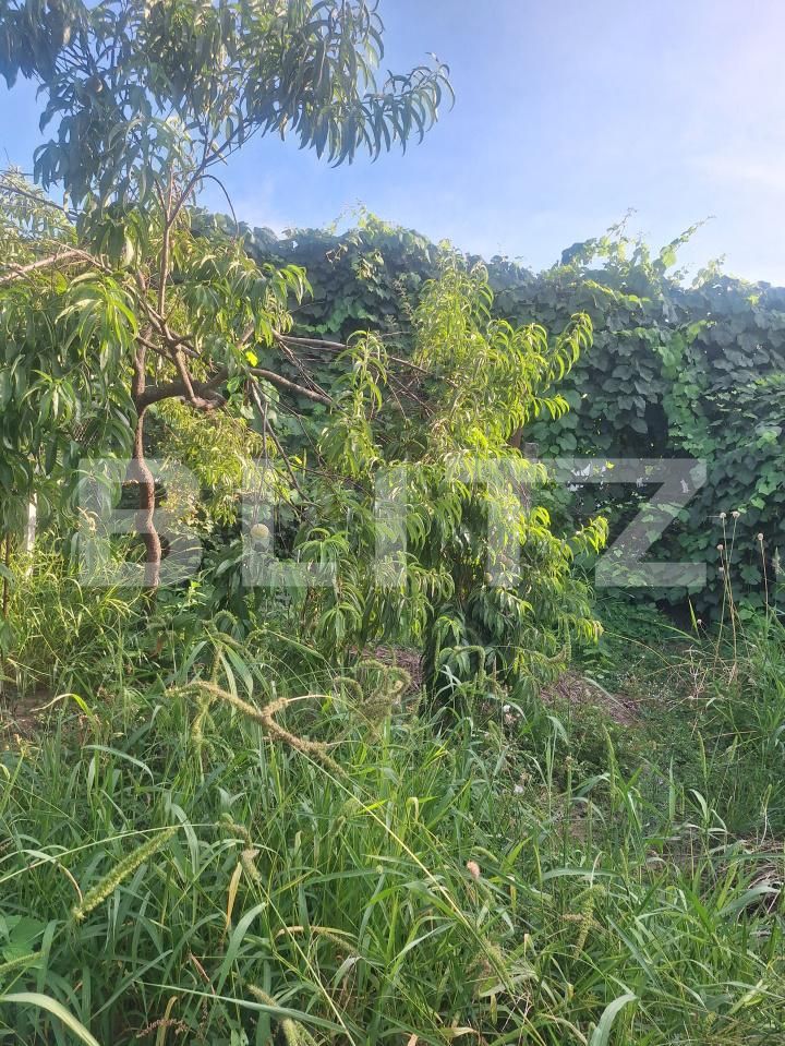 Casa de vânzare 4 camere Est - 201083CV | BLITZ Lugoj | Poza8