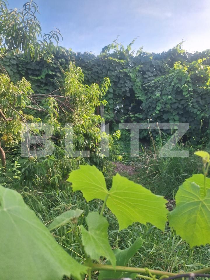 Casa de vânzare 4 camere Est - 201083CV | BLITZ Lugoj | Poza15