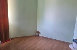 Casa de vanzare, 395 mp, zona Cotu Mic