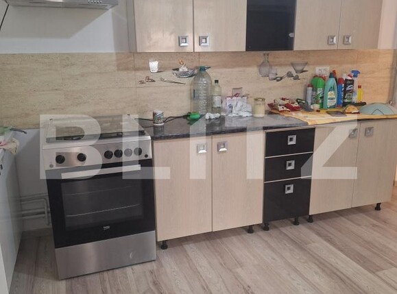Casa de vânzare 4 camere Exterior Sud - 203273CV | BLITZ Lugoj | Poza4