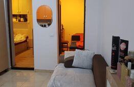 Oportunitate! Apartament de 2 camere, 51 mp, curte comuna, zona Decebal