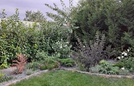 Oportunitate!!Casa de vanzare in Episcopia!!!