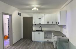 Apartament studio, Baile Felix, excelent pentru investitie