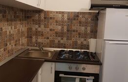 Garsoniera recent renovata de 28 mp, parter, zona Piata Unirii