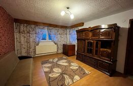 Apartamanet de 3 camere, decomandat, 105 mp, zona strazii Ecaterina Teodoroiu