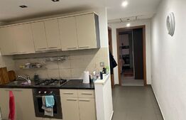 Apartament 1 camera, 38 mp, zona Decebal