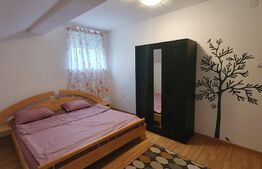 Casa de vanzare central!