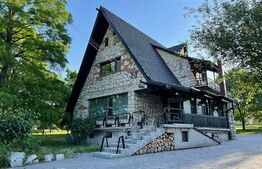 Casa DE VANZARE, 4 camere, 280mp utili, zona Iorga