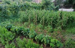 Casa 3 camere, 120 mp, zona Episcopia Bihorului 