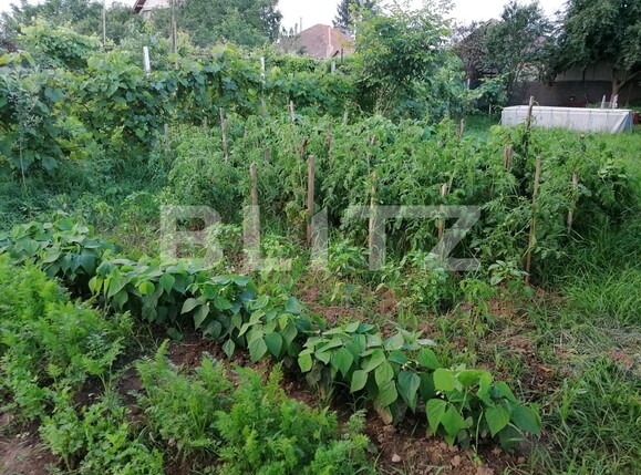 Casa de vânzare 3 camere Episcopia Bihorului - 108276CV | BLITZ Oradea | Poza7