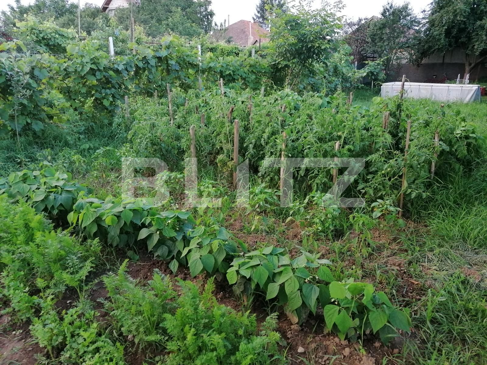 Casa de vânzare 3 camere Episcopia Bihorului - 108276CV | BLITZ Oradea | Poza7