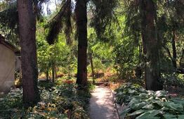 Casa 2 camere, 80mp utili, zona Iorga