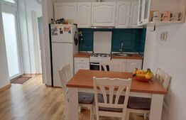 Apartament LA CURTE, DE VANZARE, 2 camere, 32mp, zona Sud