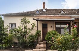 Apartament la casa, Ultracentral, 348 mp teren propriu