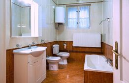 Apartament la casa, Ultracentral, 348 mp teren propriu