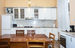 Apartament la casa, Ultracentral, 348 mp teren propriu