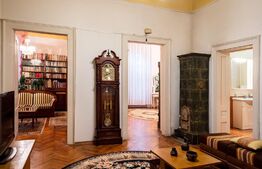 Apartament la casa, Ultracentral, 348 mp teren propriu