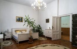 Apartament la casa, Ultracentral, 348 mp teren propriu