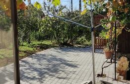 Casa DE VANZARE, 4 camere, 320mp, zona Oncea