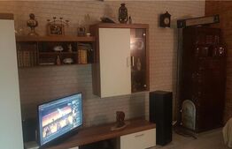 Apartament la casa DE VANZARE, 2 camere, 42mp utili, Central 