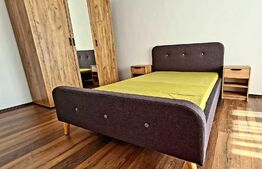 Apartament, 40 mp, zona Decebal