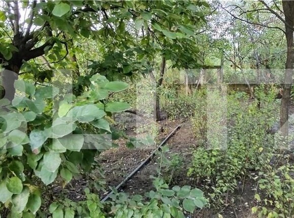 Casa de vânzare 4 camere Oncea - 108450CV | BLITZ Oradea | Poza2