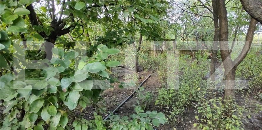 Casa de vânzare 4 camere Oncea - 108450CV | BLITZ Oradea | Poza2