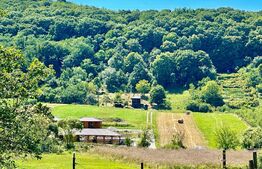 Casă la țară cu 5 camere și 1000 mp teren după Felix