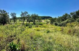 Casă la țară cu 5 camere și 1000 mp teren după Felix