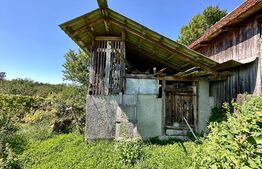 Casă la țară cu 5 camere și 1000 mp teren după Felix