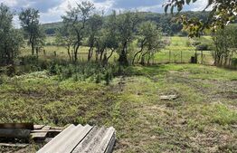 Casă la țară cu 5 camere și 1000 mp teren după Felix