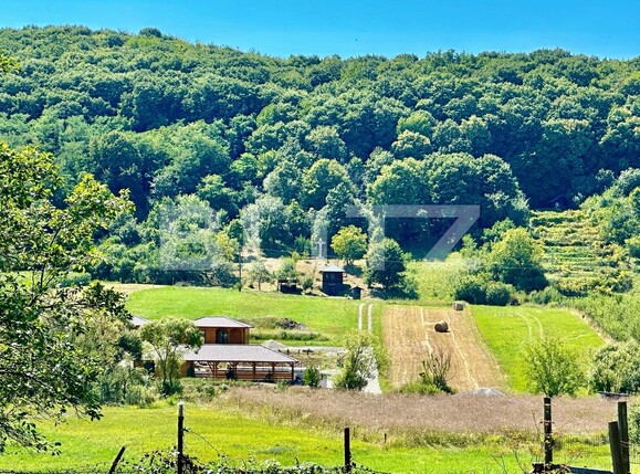 Casa de vânzare 5 camere Exterior Vest - 108464CV | BLITZ Oradea | Poza1