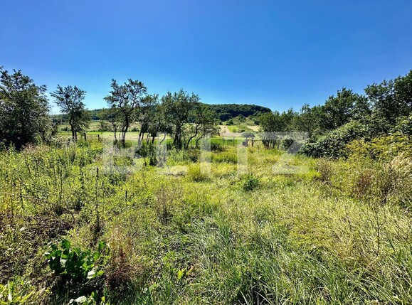 Casa de vânzare 5 camere Exterior Vest - 108464CV | BLITZ Oradea | Poza14