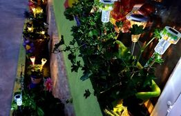 Casa 65mp, 3 camere, curte comuna, Ultracentral