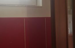 Apartament de 3 camere, 56,85 mp, la curte comuna, teren, zona Parcul Petofi