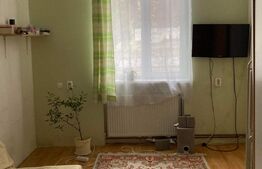 Apartament de 3 camere, 56,85 mp, la curte comuna, teren, zona Parcul Petofi