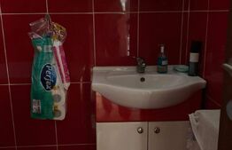 Apartament de 3 camere, 56,85 mp, la curte comuna, teren, zona Parcul Petofi