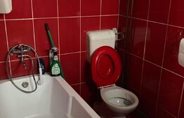 Apartament de 3 camere, 56,85 mp, la curte comuna, teren, zona Parcul Petofi